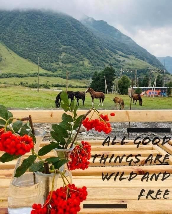 Отель Krebuli Степанцминда-46